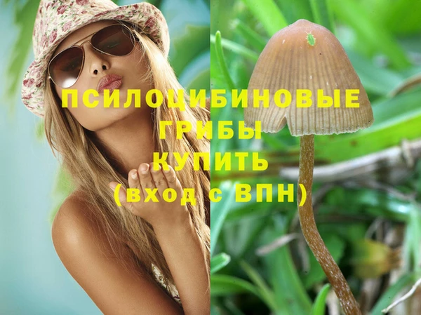 ALPHA-PVP Вязники