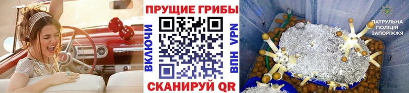 цена наркотик  kraken tor  Псилоцибиновые грибы ЛСД  Мостовской 