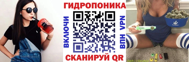 Конопля OG Kush Мостовской